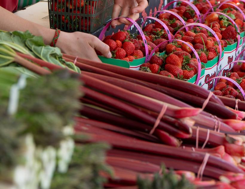 Weston Village Farmers Market