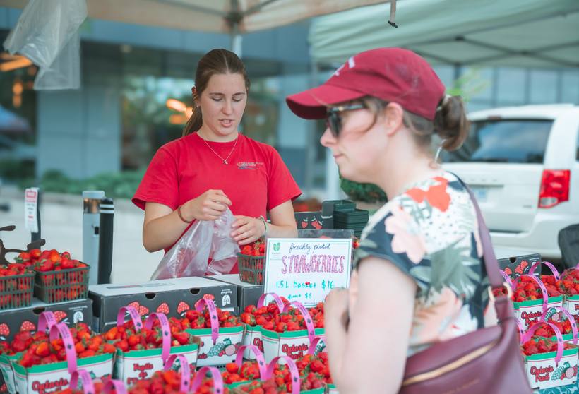 Weston Village Farmers Market